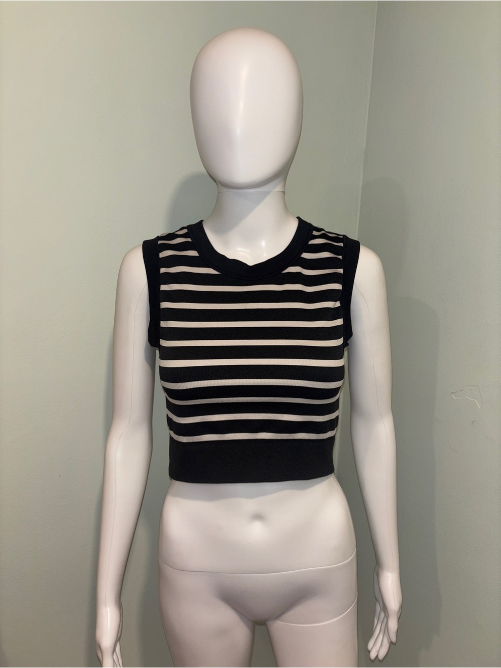 Happily Grey Black and White Striped Sleeveless Crop Top - M/L